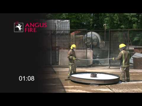 Angus Respondol ATF FF 3-3%  - 5 Gal