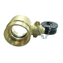 Brass Hydrant Fitting 2.5'' BSI-F x 2.5" BSP-F