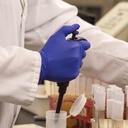 AMMEX® Indigo Nitrile Powder Free Exam Gloves (100/Box)