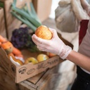 Gloveworks® Clear Vinyl Gloves