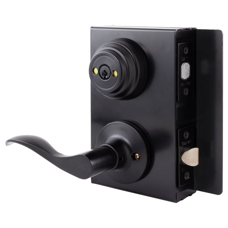Toledo Gate Deadbolt/Lever Lock