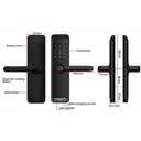 Toledo Nexus Smart Mortise Lock Lever Set