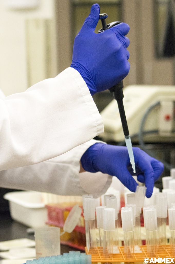 AMMEX® Indigo Nitrile Powder Free Exam Gloves