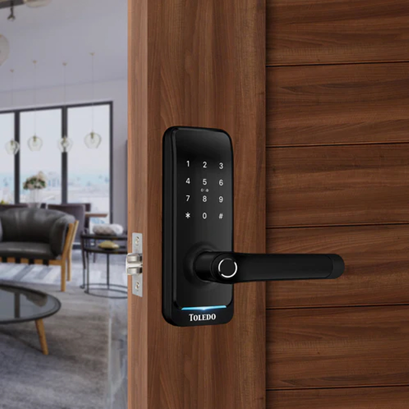 Toledo, Biometric Lever Lock, Black, Nexus (With Keypad)