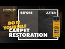 Chamäleon Paint for Carpet & Fabric