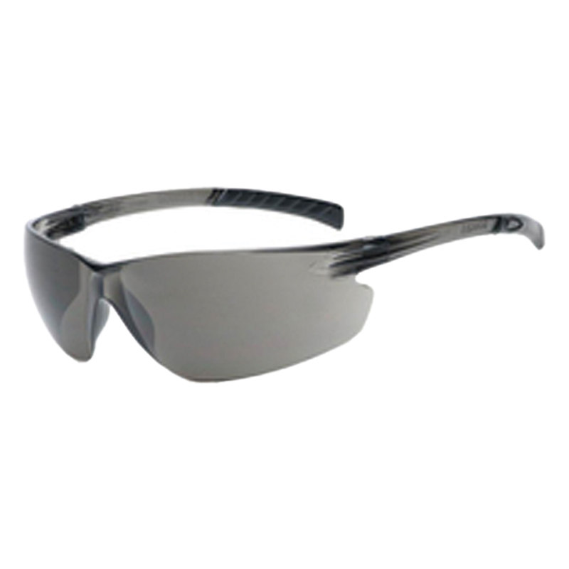 Radnor Dark Safety Glasses