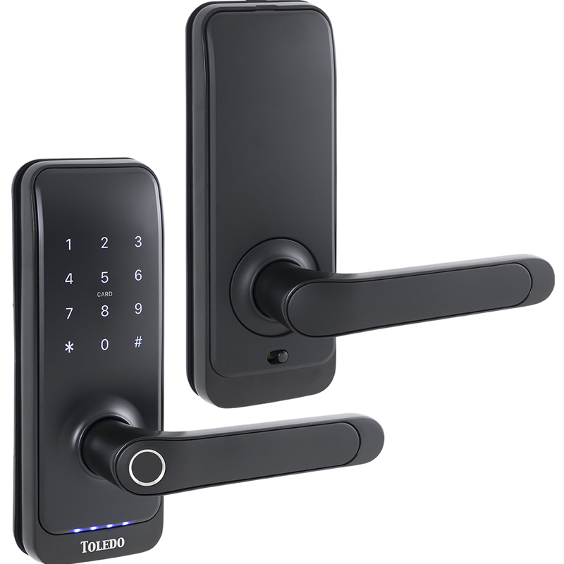 Toledo Nexus Smart Lock Lever Set Box-Single Cylinder (w/Keypad) - Iron Black