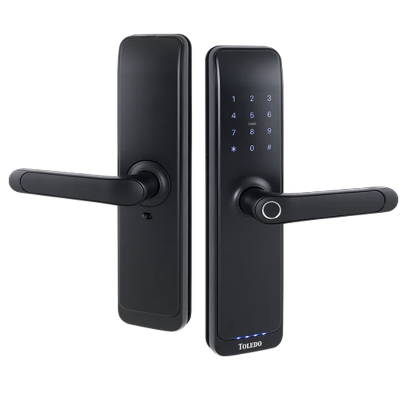 Toledo Nexus Smart Mortise Lock Lever Set
